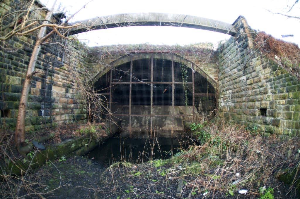 Monk Pit Branch (disused) (11).jpg