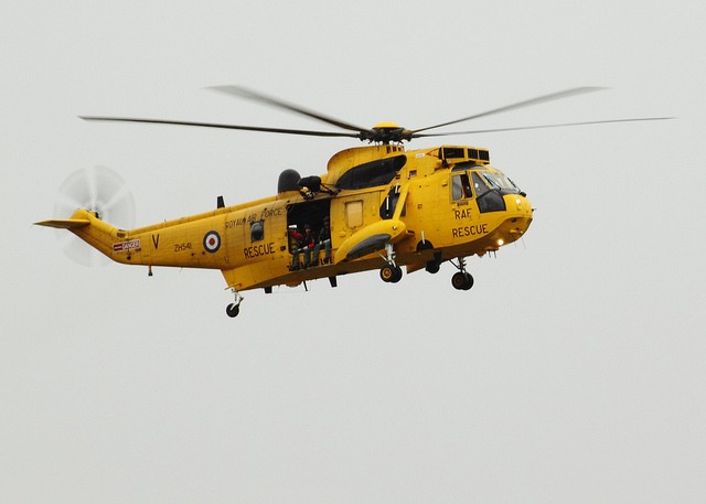 seaking1.jpg