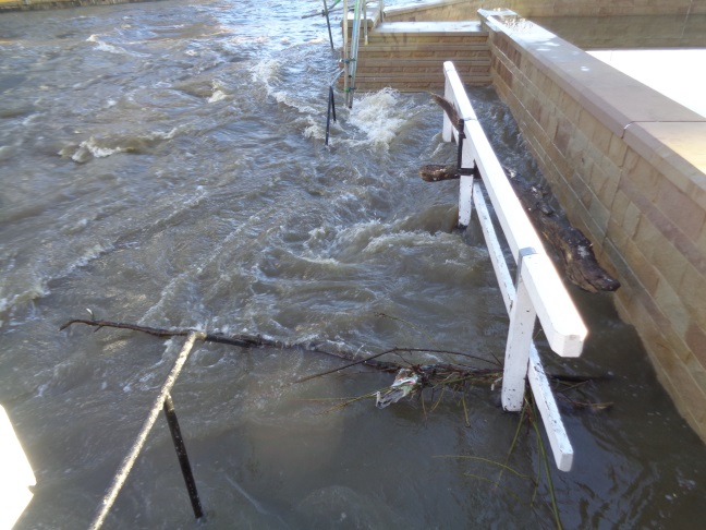 Crocodile looking tree trunk by the flood defence work of the River Aire near Granary Wharf area (taken at 12:40 GMT on Dec 27 2015).