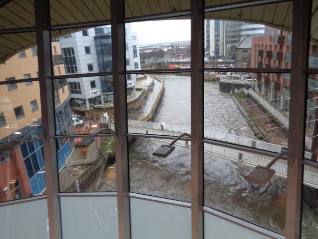 View from inside the LSSE looking downriver (photo taken Jan 7 2016).