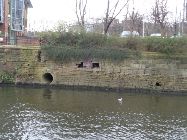 QuerySurfaceWaterDrainIntoRiverAireBelowVictoriaBridgeLeedsMar162017WithGull.jpg